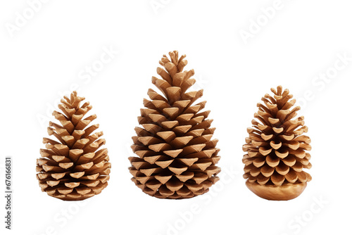 Cones and Christmas tree isolated on white background PNG