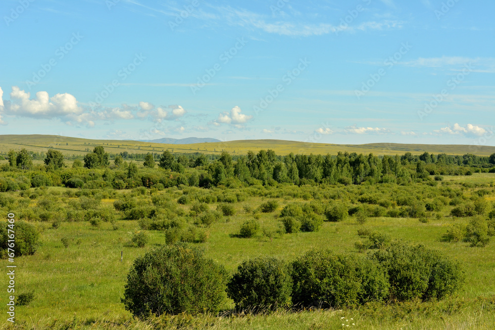 Rows and dense thickets of bushes in the endless steppe at the foot of high hills under a lazy cloudy sky.