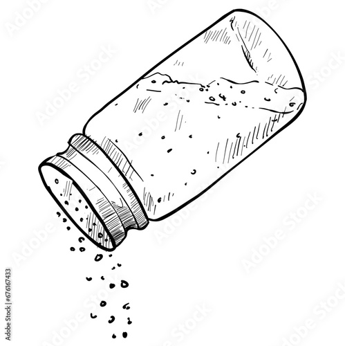 salt handdrawn illustration