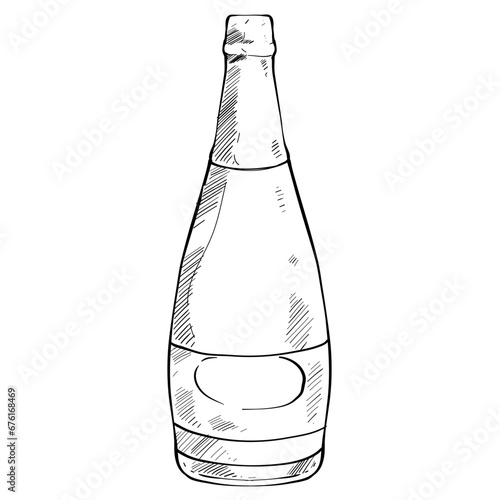 wine bottle handdrawn illustration