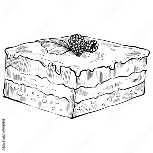 tiramisu handdrawn illustration