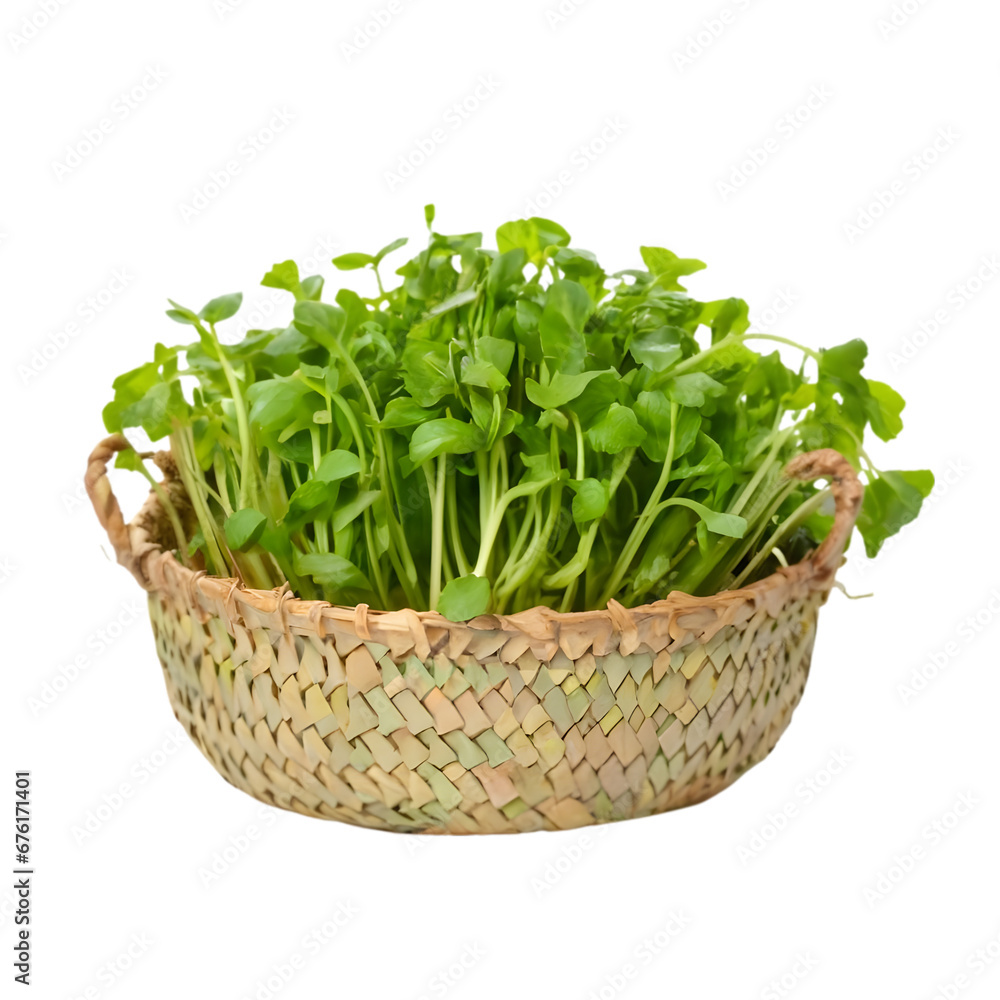 Watercress in a basket IIllustration Art On Transparent Background Generative AI. Watercress in a basket IIllustration Art On Transparent Background Generative AI.