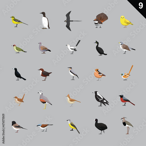 Papier peint Various Birds Cartoon Vector Illustration 9