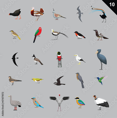 Various Birds Cartoon Vector Illustration 10