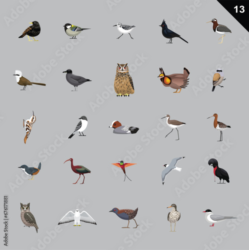 Various Birds Cartoon Vector Illustration 13 photo