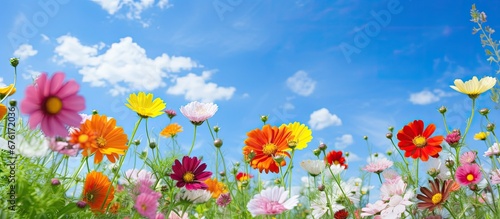 The vibrant floral beauty of the garden with its colorful flowers and lush green plants creates a breathtaking landscape against the backdrop of a clear blue sky truly capturing the essence