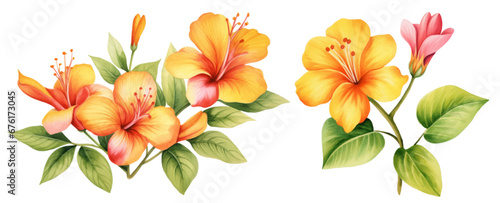 Bright tropical flowers isolated on white background. Botanical painting, watercolor vector illustrations yellow flowers branch