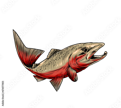 fish on a white background (ID: 676177803)