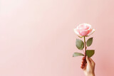 hand with pink rose valentine love background