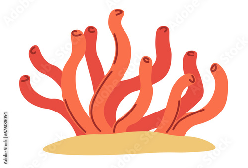 Gracilaria red seaweed growing on sand vector