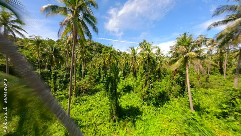 Flight through the lush tropical rainforest on a sunny day in Thailand. Flight through the lush tropical rainforest on a sunny day in Thailand.