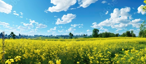 In this wide-format scene, a vast open field is adorned with a sea of yellow flowers, complemented by fluffy clouds drifting across the sky. Photorealistic illustration