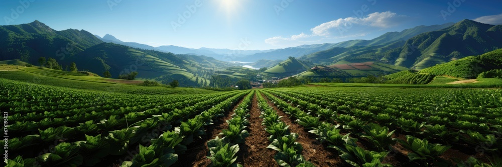 A panoramic view captures the expanse of a vast green farm, bordered by distant mountains, bathed in the warm glow of sunlight. Photorealistic illustration
