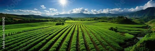 A panoramic vista reveals a sprawling green farm bathed in sunlight, with distant mountains completing the scenic view. Photorealistic illustration photo