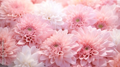 pastel dahlia flowers on defocused background  abstract soft focus floral background  close-up   Generative AI