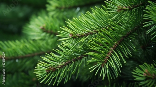 green branches of a pine tree close-up  short needles of a coniferous tree close-up on a green background  texture of needles of a Christmas tree close-up   Generative AI