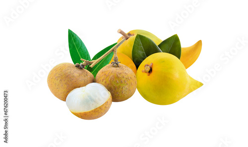 set  pouteria campechiana (kunth) baehni Longan on transparent png photo