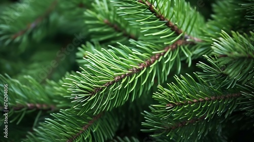 green branches of a pine tree close-up, short needles of a coniferous tree close-up on a green background, texture of needles of a Christmas tree close-up : Generative AI