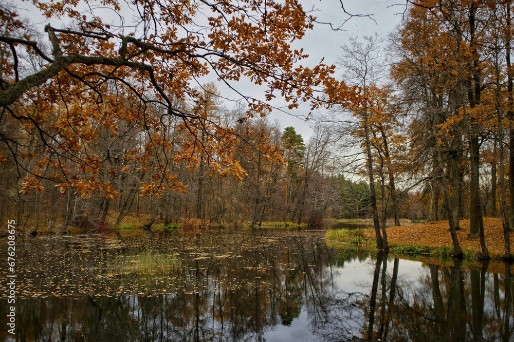 Picturesque view of the autumn forest and river Picturesque view of the autumn forest and river
