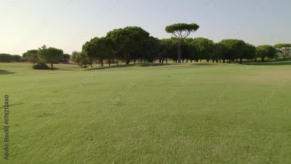 Golf course fairway soil and grass. Aerial view at ground level and ascent over bunker and trees. Andalusia. Spain.