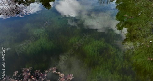 Tilt Shot from Urban Garden Lake with Calm Water full of Algae and Sky Reflection, Pucon, Chile photo