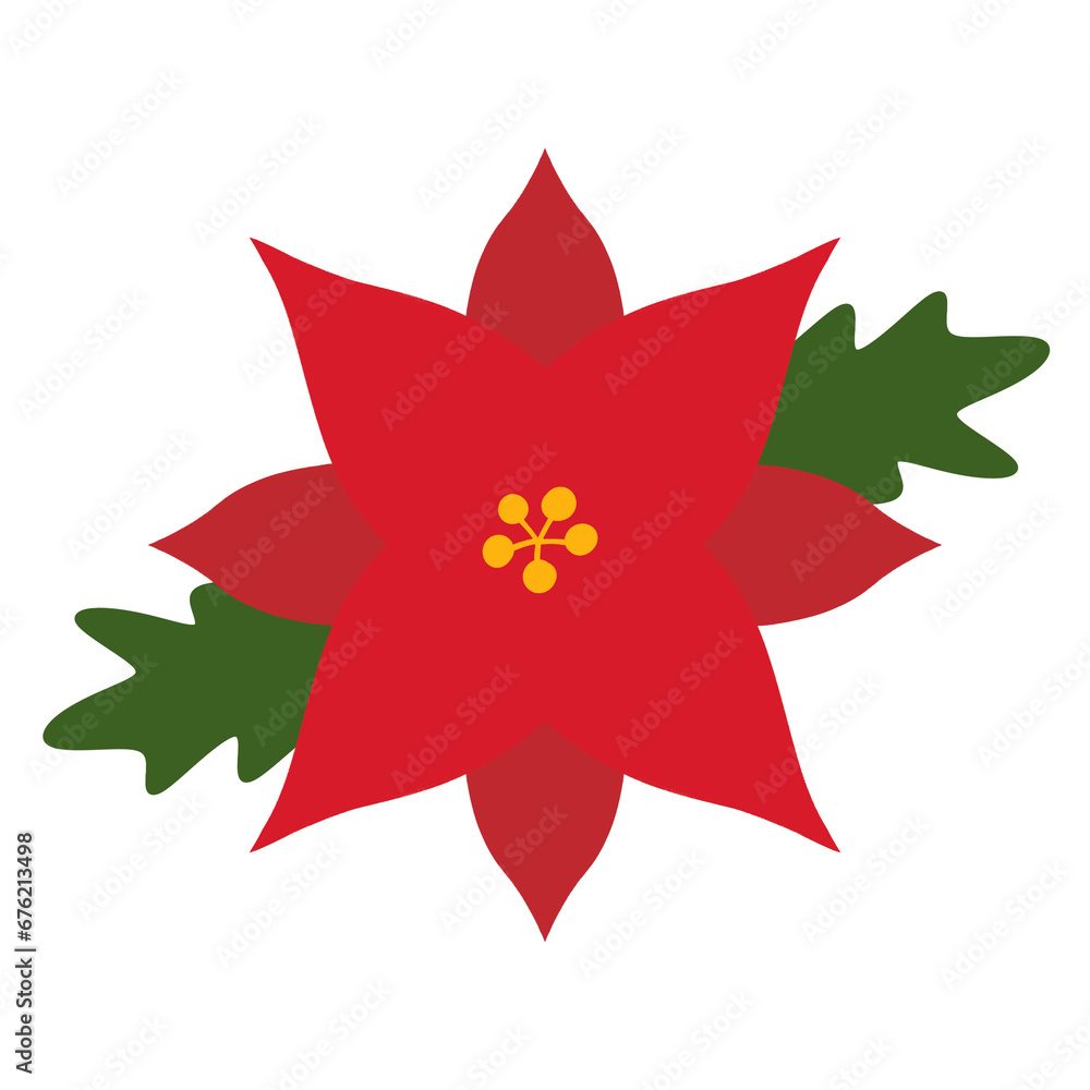 Obraz premium 포인세티아