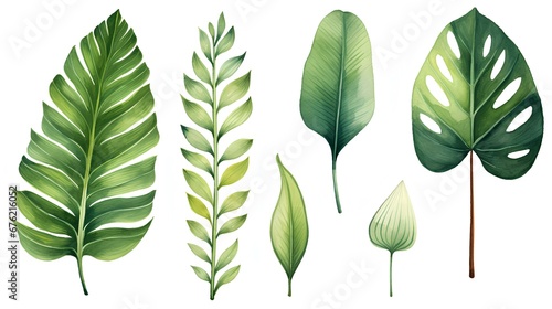  set of green leaves