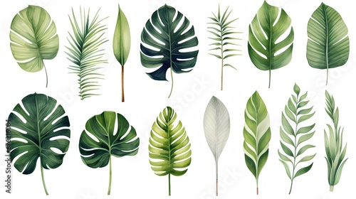  set of green leaves