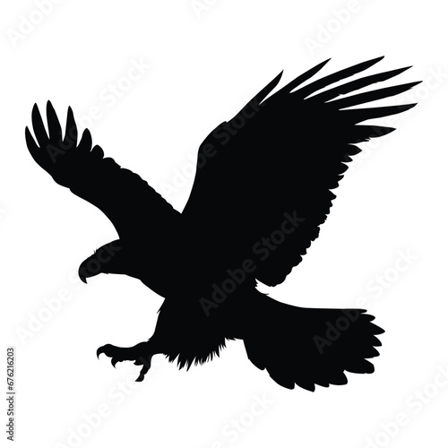 Flying Eagle Silhouette on White Background