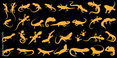 Vibrant lizard vector illustration set, featuring diverse reptile species like gecko, chameleon, iguana, and more. Perfect for reptile enthusiasts, herpetology projects, or exotic pet promotion