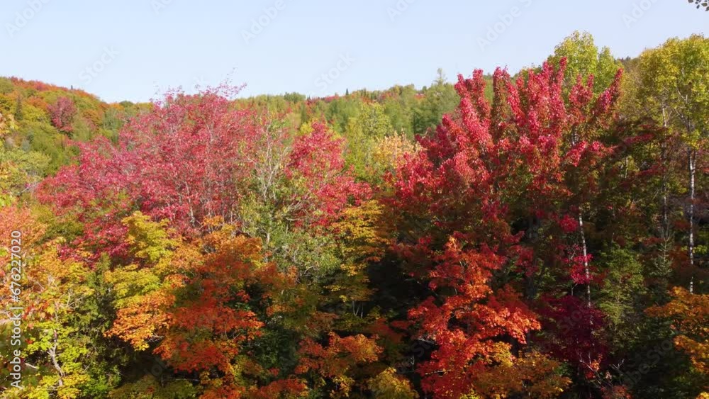 Slow Aerial Flythrough Forest During the Fall at La Vérendrye Wildlife Reserve, Ontario, Canada Slow Aerial Flythrough Forest During the Fall at La Vérendrye Wildlife Reserve, Ontario, Canada