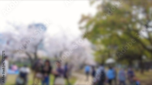 ぼかし背景素材: 多くの花見の人々で賑わう満開の桜並木道を歩くPOVショット  2023年3月30日 広島平和記念公園の桜風景 photo