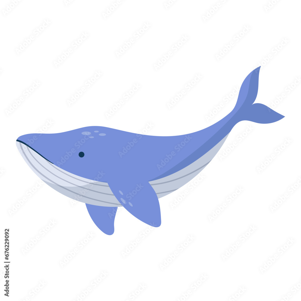 big whale illustration big whale illustration