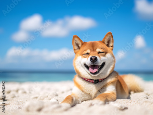 Cute shiba inu lying on the beach enjoying the sun. Created with Generative AI technology