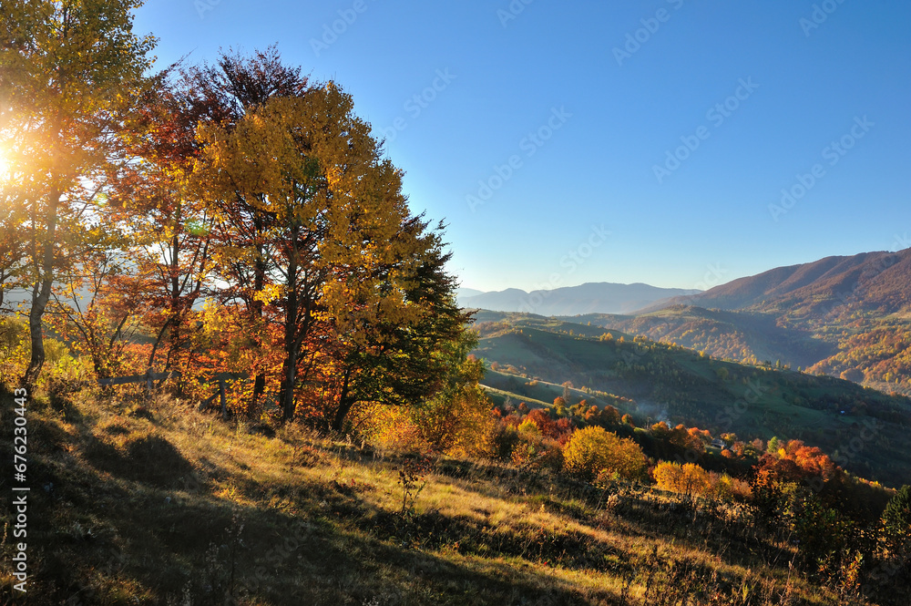 Beautiful autumn mountain landscape in the morning light with bright trees