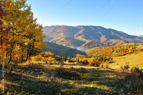 Beautiful autumn mountain landscape in the morning light with bright trees