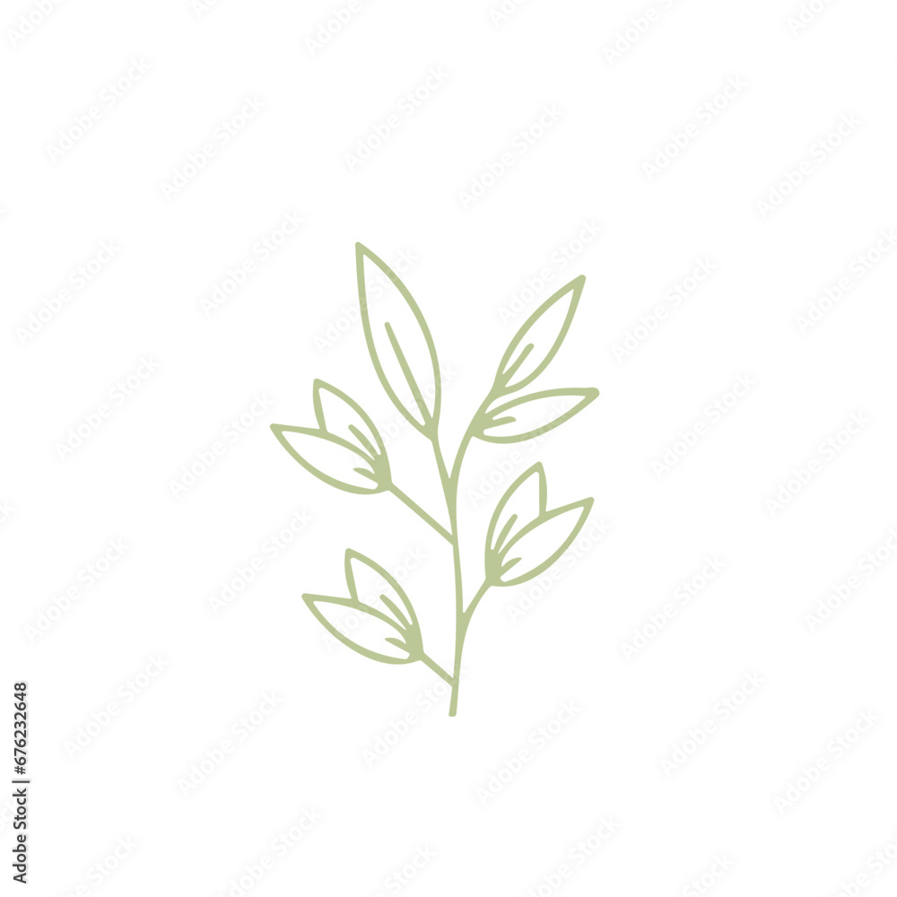 hand draw leave element set hand draw leave element set