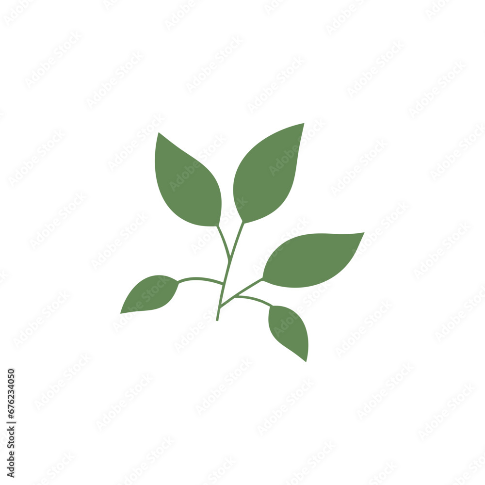hand draw natural leave element