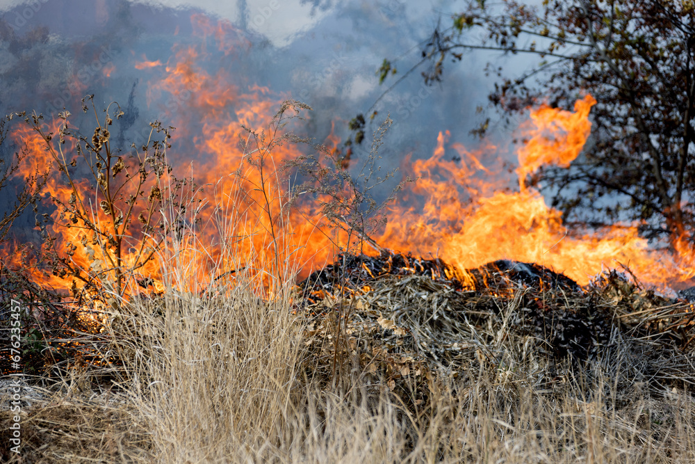 steppe fires during severe drought completely destroy fields. Disaster causes regular damage to environment and economy of region. The fire threatens residential buildings. Residents extinguish fire steppe fires during severe drought completely destroy fields. Disaster causes regular damage to environment and economy of region. The fire threatens residential buildings. Residents extinguish fire