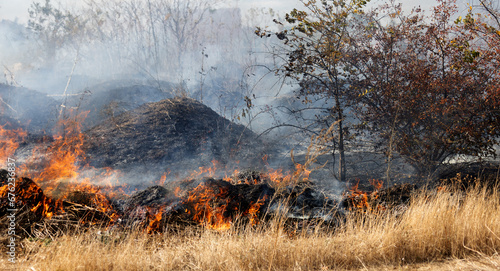 steppe fires during severe drought completely destroy fields. Disaster causes regular damage to environment and economy of region. The fire threatens residential buildings. Residents extinguish fire © Aleksandr Lesik