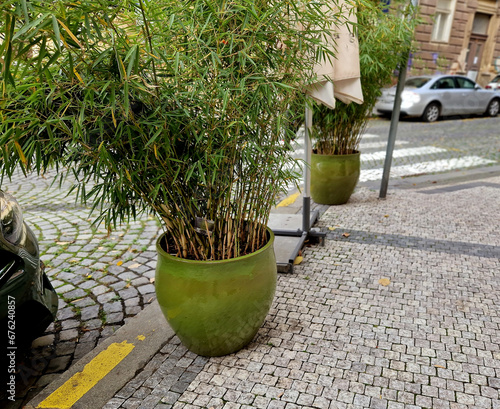 Cuadro en lienzo there is on-street parking with a paved stone courtyard