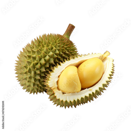 Durian fruit clip art