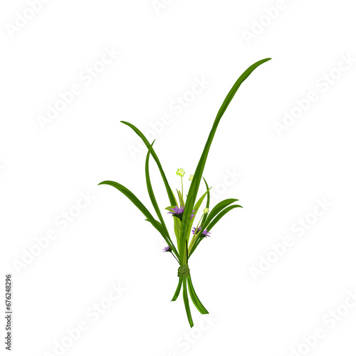 a bunch of grass and wildflowers, without a background