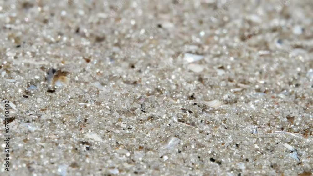 Macro shot of grains of sand and small fragments of shells blown by the wind in the direction of the lens. Macro shot of grains of sand and small fragments of shells blown by the wind in the direction of the lens.