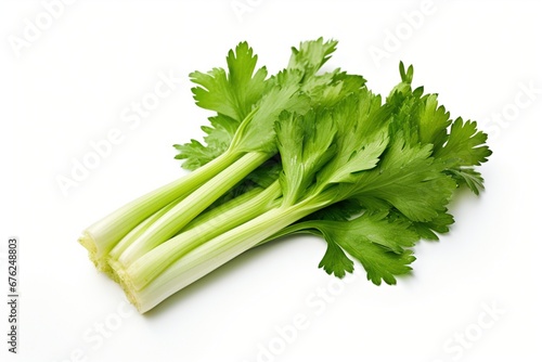 Celery isolated on White