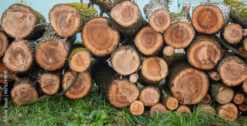 a pile of freshly cut trees