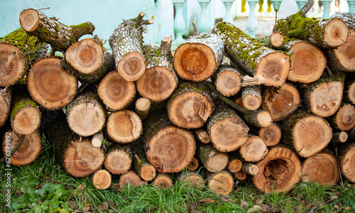 a pile of freshly cut trees
