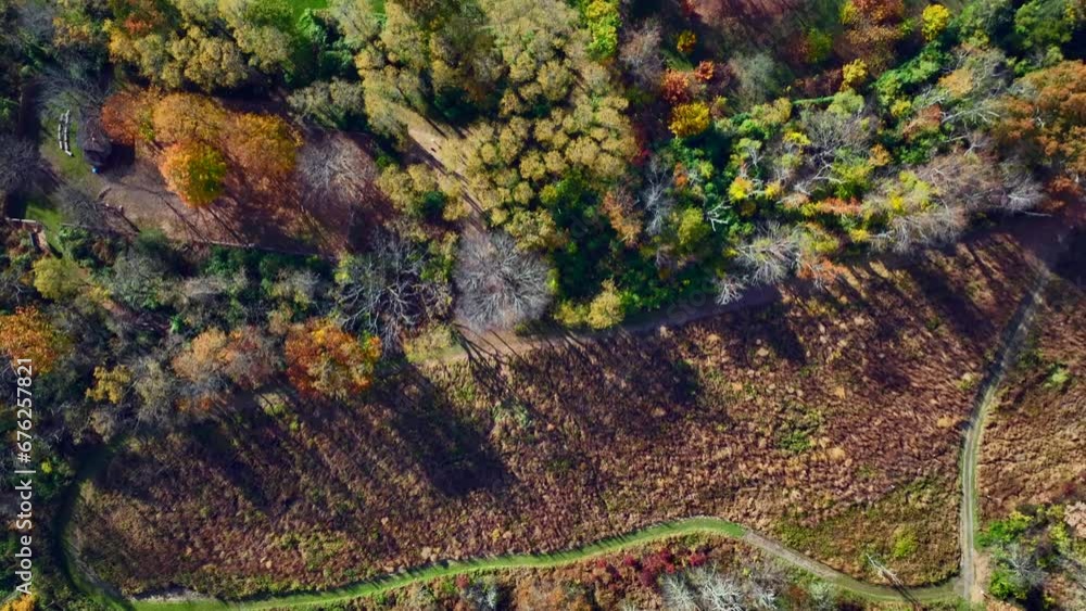 An aerial top down view over colorful trees on a sunny day in New Jersey. The camera tilted straight, down dolly in over the landscape. An aerial top down view over colorful trees on a sunny day in New Jersey. The camera tilted straight, down dolly in over the landscape.