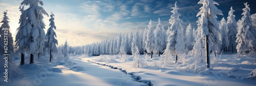 Panoramic View Beautiful Winter Wonderland , Background Image For Website, Background Images , Desktop Wallpaper Hd Images