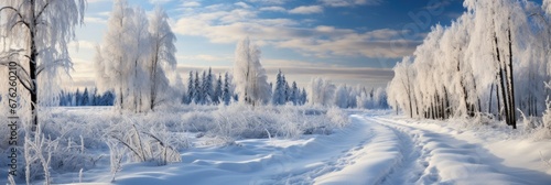 Winter Landscape Road Trees Covered Snow , Background Image For Website, Background Images , Desktop Wallpaper Hd Images